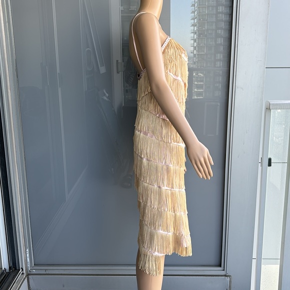 Vintage Fringe Flapper Girl Dress - Picture 3 of 14